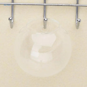 Glass Vase Wall Hanging Hydroponic Terrarium Fish Tanks Potted Plant Flower pot