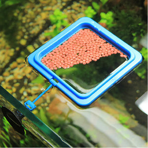 Aquarium Fish Portable Feeding Fish Accessories Feeder Station Floating Square Circle with Suction Cup Easy to feed Accessories