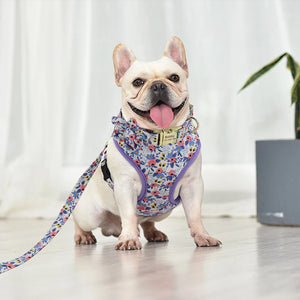 Adjustable Nylon Mesh French Bulldog Collar Harness Leash Set Cute Printed Puppy Cat Harness Vest Leash For Small Medium Dogs