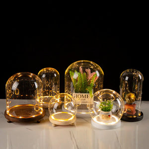 Glass Flower Display Cloche Bell Jar Terrarium Bottle  with Wooden Everlasting Flower Glass Cover with Feet LED Light Vases