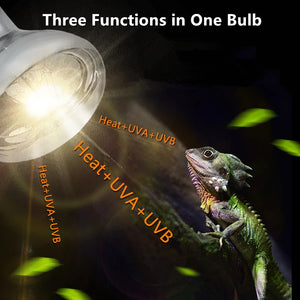 Turtle Light Bulb For Lizard Heating Lamp For Reptiles UVA Tortoise Accessories Egg Brooder Heat Warm Terrarium Reptile UVB Bulb