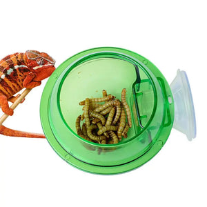 Anti-Escape Reptiles Feeder Bowl For Tortoise Iguana