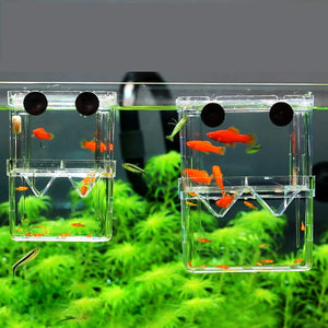 Aquarium Fish Breeder Box High Clear Double Hatching Incubator Hatchery Isolator Breeding Isolation Box Fish Tank Turtle Reptile