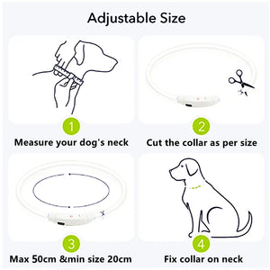 Led Light Dog Collar Detachable Glowing USB Charging Luminous Leash for Big Cat Collar Small Bright Labrador  Pets Dogs Products