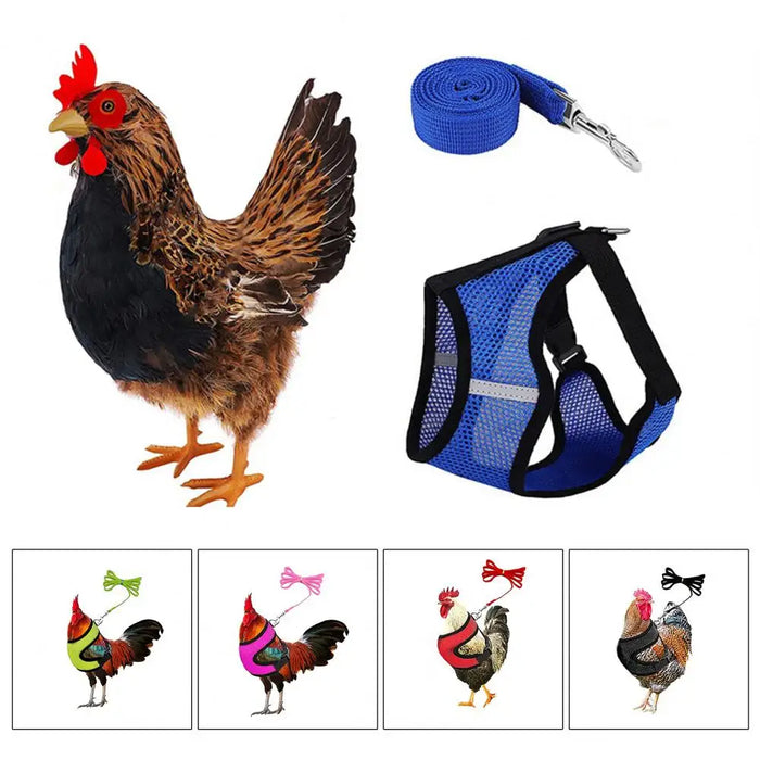 Pet Adjustable Harness Leash for Chicken Comfortable Breathable Pet Vest for Small Dogs Duck Goose Training Accessories