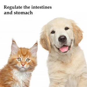 10 Bags/Box PET Nutrition Probiotics Enhance Physical Fitness Protect Stomach Health Powder Food for Dogs and Cats