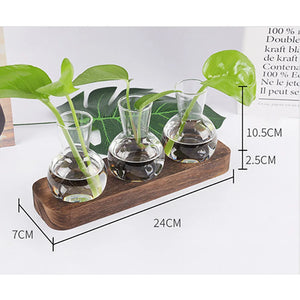 Hydroponic Plants Container Plant Glass Test Tube Terrariums Vase in Wooden Stand Flower Pots Hydroponic Plants Test Tube Vase