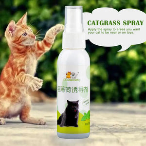 50ml Natural Health Safety Cat Mint Inducer Mint Spray Fresh Toy Spray Cat Training Inducer Cat Breathing Products P4Z9