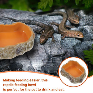 Pet Feeding Bowl Resin Reptile Food Holder Supply Terrarium Fogger Dish Water Tank Bowls Food Water Dish for Lizard Tortoise