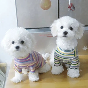 Winter Dog Clothes For Small Dog Large Dog Clothes Dog Shirt Cat Apparel Pet Products Spring Cat Shirt Spring Medium Chihuahuas