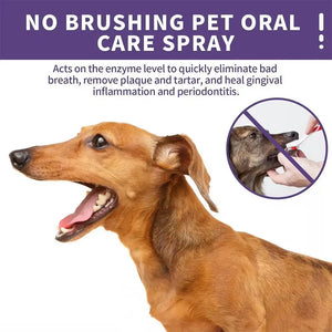 Pet Oral Care Spray for Cat Dog Instant Pet Fresh Breath Dental Care Teeth Cleaning Anti Inflammatory Dog Gingivitis Treatment