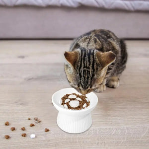 Cat Food Stand Ceramic Pet Food And Water Feeder Raised Feeding Bowl Puppy Non-Slip Dish Cat Feeding & Watering Supplies For