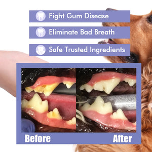 Pet Teeth Cleaning Spray Dog Cat Teeth Calculus Stain Remover Deodorant Kitten Halitosis Bad Breath Treatment Pet Oral Care Tool