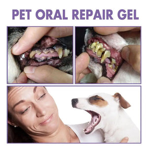 6ml Pet Teeth Cleaning Gel For Cats Dogs Teeth Cleaner Tartar Remover Oral Care Health Solution Pet Supplies