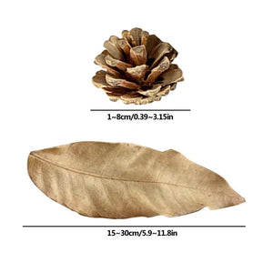 Aquarium Alder Cones Anti-Bacterial PH Minus Water Treatment Fish Shrimp Tank Aquarium For Fish Tank Pond and Aquarium