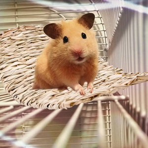 Rabbit Grass Chew Mat Small Animal Hamster Cage Bed House Pad Woven Straw Mat for Hamster Guinea Pig Pet House Cage Accessories