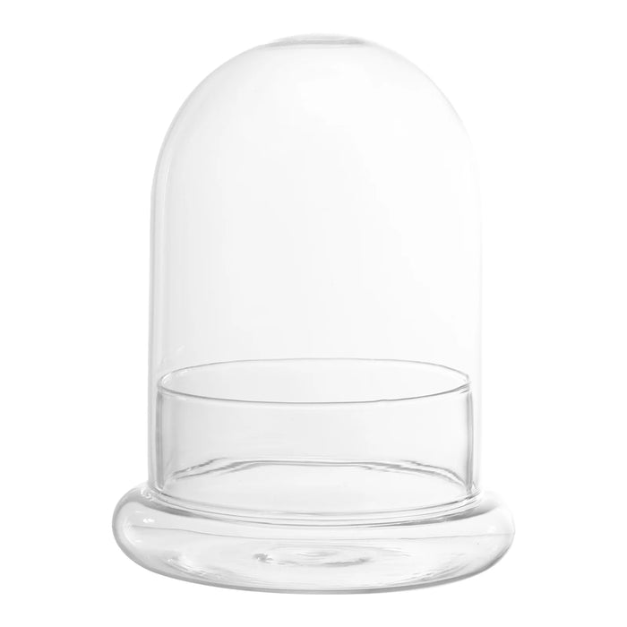 Plant Protector Cover Plastic Cloche Plant Plant Dome Protector Terrarium Bell Jar Bottle for Garden Bell Cloche