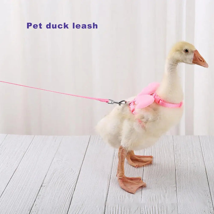 Dropshipping!!Wing Design Duck Harness Flexible Buckle Solid Color Long Rope Duck Harness Small Pet for Outdoor