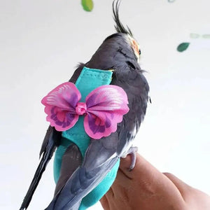 Parrot Bird Diapers With Harness Leash Flight Clothes Suit For Small Medium Birds Parakeets Parrot Cockatiel