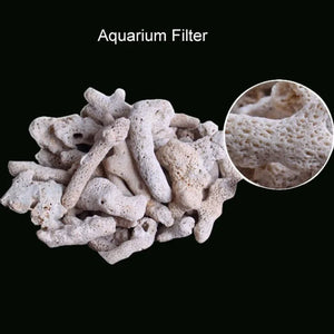 High Quality Natural Coral Bone Biochemical Ball Filter Media Nitrifying Bacteria House Fish Tank Clean Water  Materials