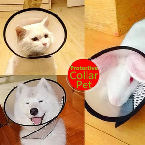 Medical Surgery Wound Healing Cats Dogs Health Elizabethan Collar Neck Cone Recovery Pets Protective Collar Protection Cover