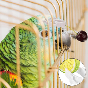 12pcs Birds Food Holder Pet Parrot Feeding Fruit Vegtable Clip Cuttlefish Bone Feeder Device Pin Clamp Bird Cage Accessories