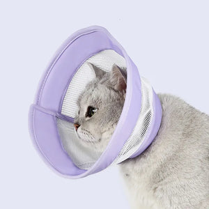 Pet Cat Dogs Health Recovery Elizabethan Cotton Filling Collar Protective Medical Cone E- Collar for Dog and Cat