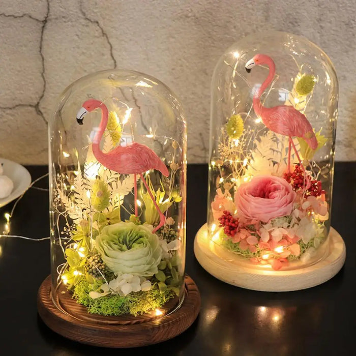 Clear Decorative Glass Cloche Plants and Flowers Holder Succulent Terrarium