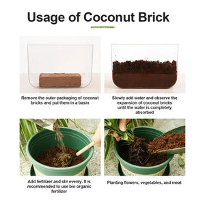 Natural Coconut Soil Coconut Fiber Substrate Lizard Turtle Reptile Bedding Terrarium Bottom Supplies