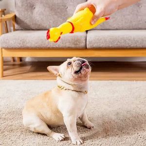 Funny Screaming Chicken Toys, Squeezing Sound, Teeth Grinding, Suitable for Small to Medium Dogs, Pet Products, Home Supplies