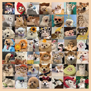 10/30/52PCS Cute Dog Cat MEME Stickers PVC Waterpoof Decals DIY Laptop Phone Luggage Stationary Funny Animal Sticker Toys Gift