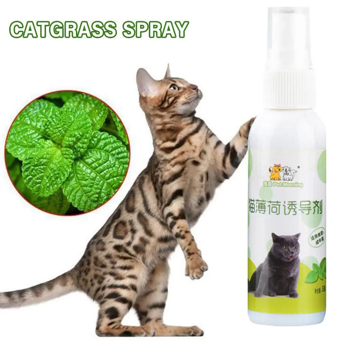 50ml Natural Health Safety Cat Mint Inducer Mint Spray Fresh Toy Spray Cat Training Inducer Cat Breathing Products P4Z9