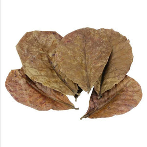 Natural Terminalia Catappa Foetida Leaves Island Almond Leaf Fish Cleaning Treatment Aquarium Tank Drop Shipping