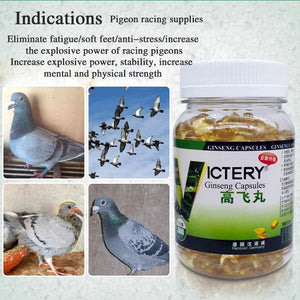 Pigeon racing to enhance explosive power, eliminate fatigue, quickly recover, and return home 300 pigeon health supplements