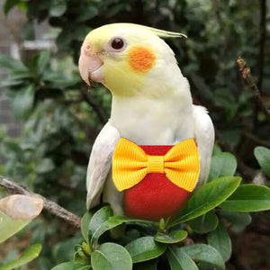 Parrot Pigeon Diaper With Bowtie Small Medium Large Pet Bird Nappy Washable Clothes Green Cheek Parakeet Cockatiel Flight Suit