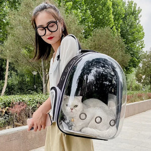 Cat Pet Carrier Backpack Transparent Pet Backpack Small Animal Puppy Kitty Bird Breathable Pet Carrier for Travel