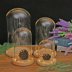 Clear Dome With Wooden Base Tabletop Display Glass Cover Dry Flower Ornaments Craft Dust Bell Jar Terrarium Landscape Vase