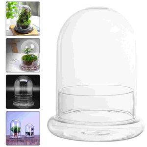 Micro Landscape Vase Glass Lid Dome Cover Moss Bottle Succulent Plants Ecological Bell Jar Terrarium Display