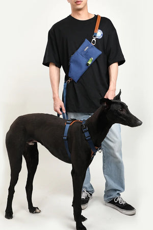 Dog Travel Sling Bag Puppy Diagonal Span Accompanying Backpack With Lead Leash Chest Carrier Bag