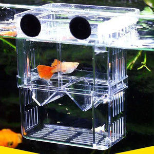 Acrylic Fish Breeder Box Breeding Isolation Box Fish Hatchery Divider Shrimp Clownfish Aggressive Fish Prevent Injured Aquarium