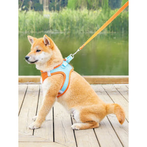 Puppies Dog Harness Leash Pet Adjustable Vest Leash Collar For Puppy Best Selling Dog Harness and Leash Set Dog Accessories