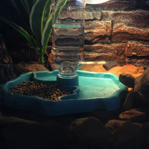 Reptile Feeder Drinker Pet Food Dish Auto Pet Water Dispenser for Tortoise Snake