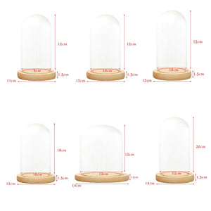 Clear Dome With Wooden Base Tabletop Display Glass Cover Dry Flower Ornaments Craft Dust Bell Jar Terrarium Landscape Vase