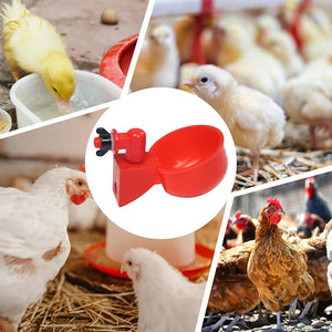 5-50PCS Chicken Drinking Cup Automatic Drinker Chicken Feeder Waterer Drinking Bowl Water Feeder for Chicks Duck Goose Quail