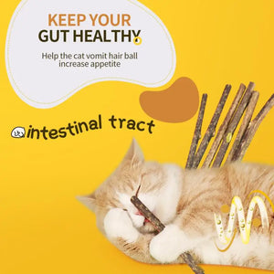 6 Sticks Natural Cat Mint Sticks Cat Catnip Chews Toys Pet Molar Sticks Kittens Cleaning Teeth Bite-resistant Toys Pet Products