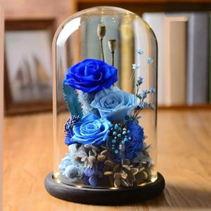 Clear Decorative Glass Cloche Plants and Flowers Holder Succulent Terrarium