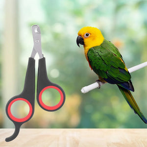 Pet Bird Parrot Small Animals Accessory Grooming Tool Nail Scissors Clipper Black And Red