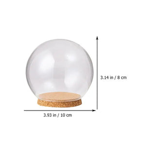 5pcs Dome Glass Cover Cake Mini Flower Display Cloche Bell Jar Hood Immortal Plantplate Dessert Base Holder Box Terrarium Flower