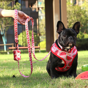 With Waste Poop Bag For Small Medium Dogs