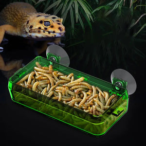 Reptile Transparent Feeder Anti-escape Food Bowl Worm Live Container With Strong Suction Cups Pet Supplies